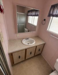 Mobile Home