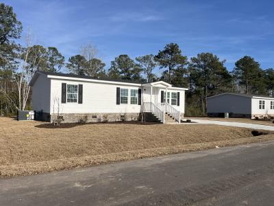 Photo 2 of 12 of home located at 63 Lady Fern Way Hampstead, NC 28443