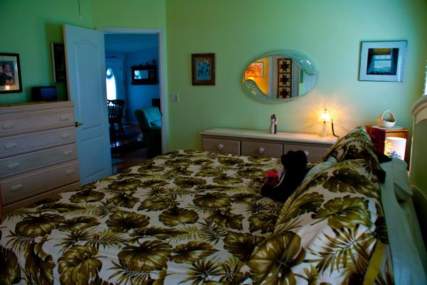 1998 Palm Harbor Mobile Home