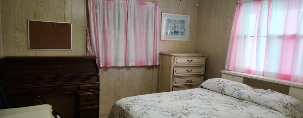 1973 Skyline Mobile Home