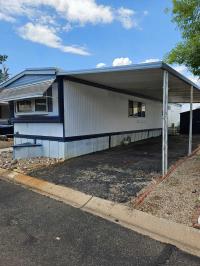 1973 American Mobile Home