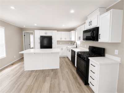 Mobile Home at 738 Waltham Mount Morris, MI 48458