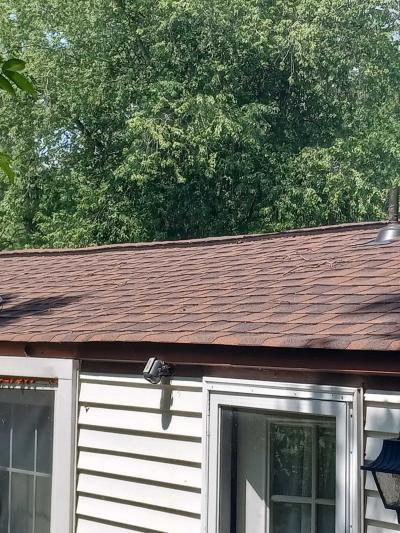 Photo 5 of 14 of home located at 10 Parkway Conowingo, MD 21918