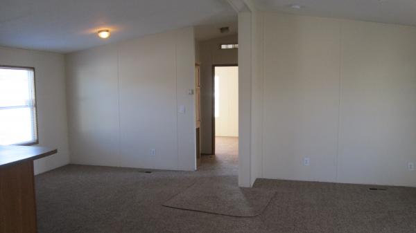 2007 Skyline Mobile Home