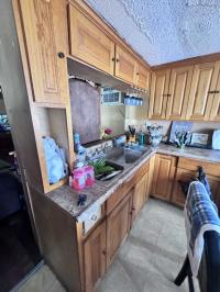 1963 Sahara Mobile Home
