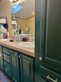 2001 Skyline Manufactured Home
