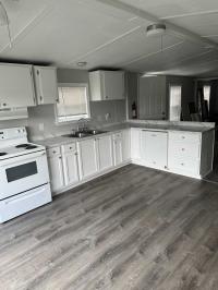 1987 Skyline Mobile Home