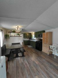 1989 Skyline Manufactured Home