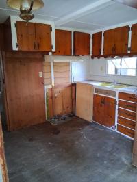 Mobile Home