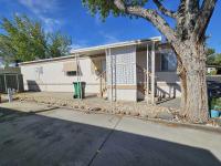 1980 SKYLINE BUDDY Manufactured Home