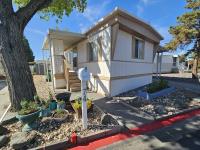 1980 SKYLINE BUDDY Manufactured Home