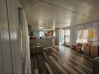 1980 SKYLINE BUDDY Manufactured Home