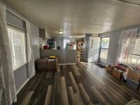 1980 SKYLINE BUDDY Manufactured Home