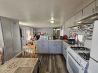 1980 SKYLINE BUDDY Manufactured Home