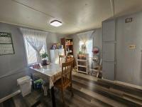 1980 SKYLINE BUDDY Manufactured Home