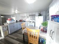 1980 SKYLINE BUDDY Manufactured Home