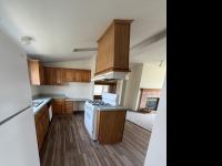 1993 Skyline N/A Mobile Home