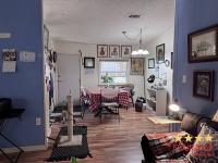 1993 PALM   Home