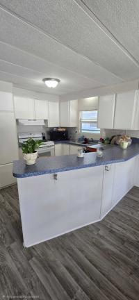 1977 Skyline Manufactured Home