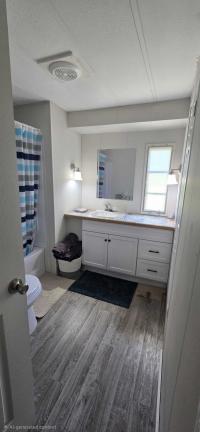 1977 Skyline Manufactured Home
