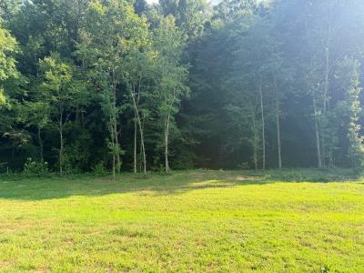 Photo 4 of 16 of home located at 20977 Cairo Hollow Rd Athens, AL 35614