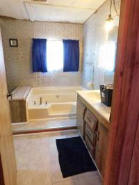 1981 Remic 00 Manufactured Home