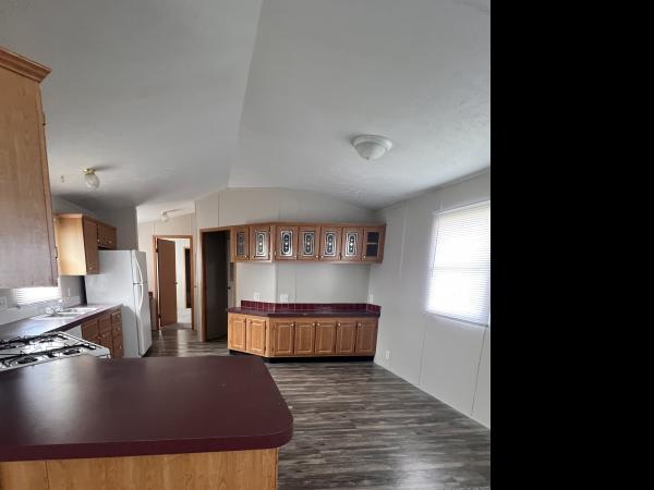2000 Skyline Mobile Home For Sale