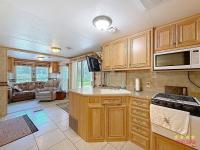 2009 DAMO  Home