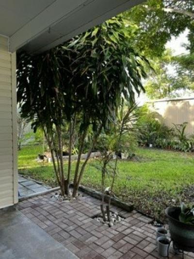 Available Home