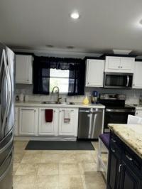 2009 Skyline Manufactured Home
