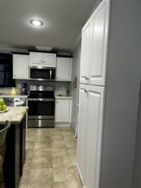2009 Skyline Manufactured Home
