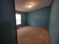 2000 Skyline Manufactured Home