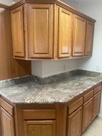 2003 Skyline Oakmanor Manufactured Home