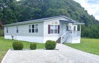 1991 Skyline Mobile Home
