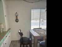 1974 Skyline Mobile Home