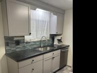 1974 Skyline Mobile Home