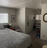 1974 Skyline Mobile Home