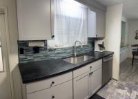1974 Skyline Mobile Home