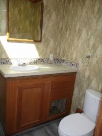 2005 Skyline Manufactured Home