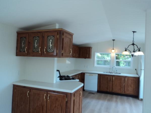 1996 Skyline Mobile Home