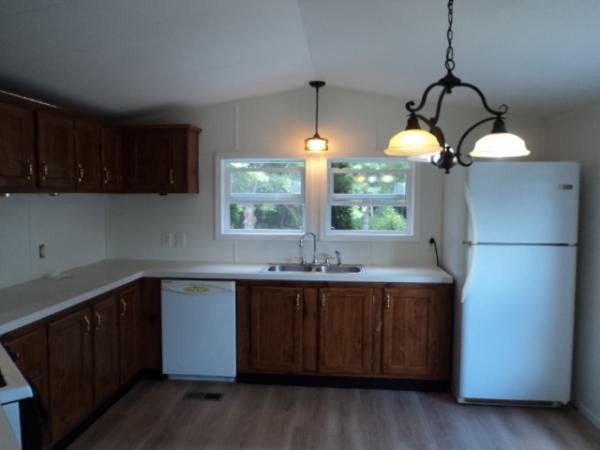 1996 Skyline Mobile Home