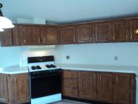 1996 Skyline Mobile Home
