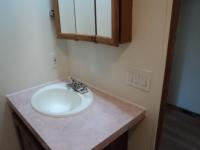 1996 Skyline Mobile Home