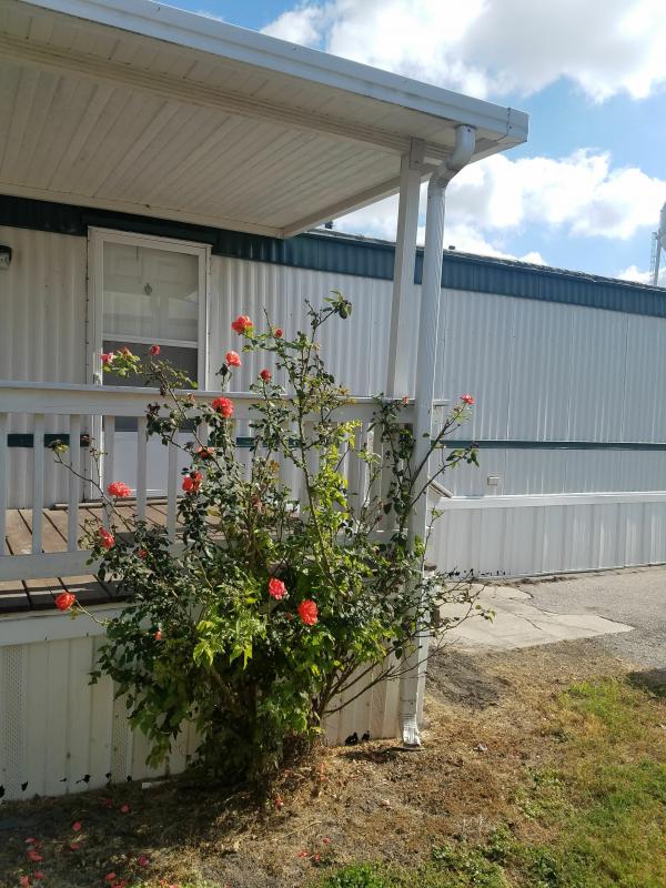 Photo 1 of 2 of home located at 4927 Lunar Dr #191 Kirby, TX 78219