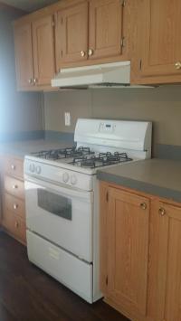 1997 Patriot Homes Pinehurst Mobile Home