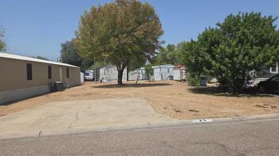 Mobile Home at 901 East Sioux Road #20 Pharr, TX 78577