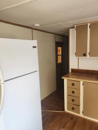 Mobile Home