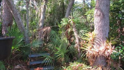 Photo 4 of 44 of home located at 2103 Stacey Drive Mount Dora, FL 32757