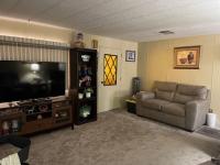1979 Skyline Mobile Home
