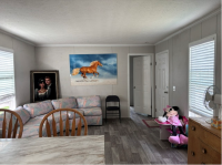 2020 Champion Manufactured Home